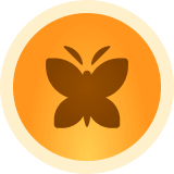 Icon ZB368